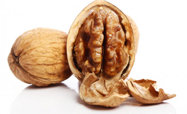 fresh-walnut